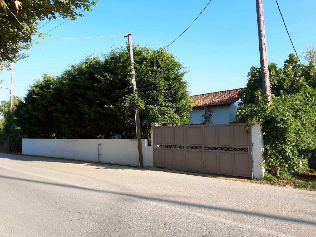 Ckiathi - Ckiaθi - Ps Rental Ayía Paraskeví Exterior foto